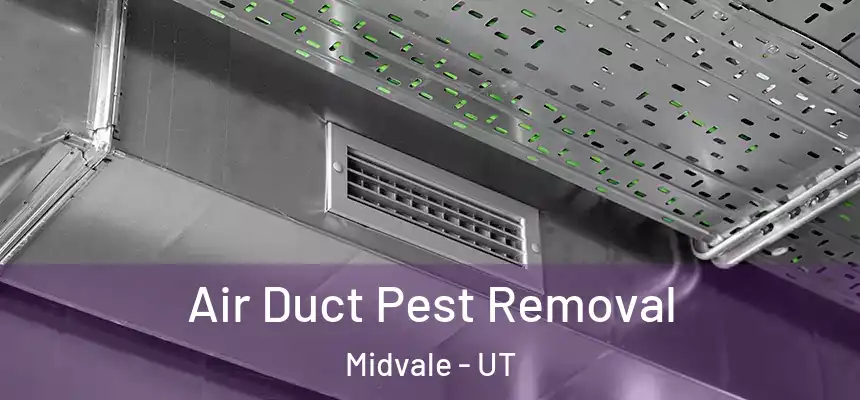  Air Duct Pest Removal Midvale - UT