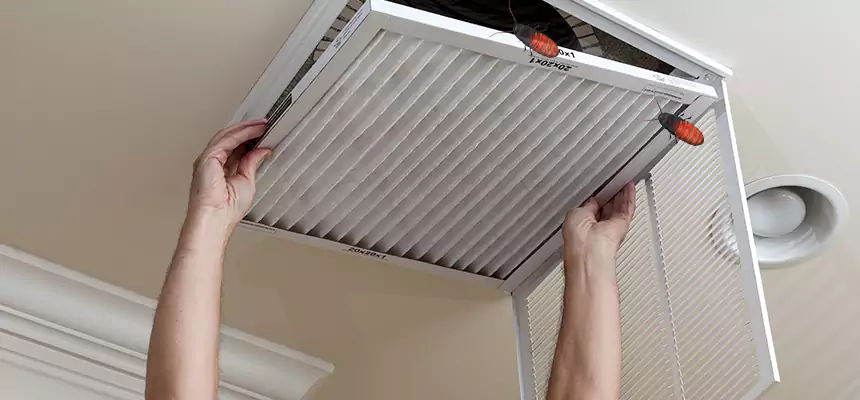 Preventive Cockroach-Proofing for Ducts in Midvale
