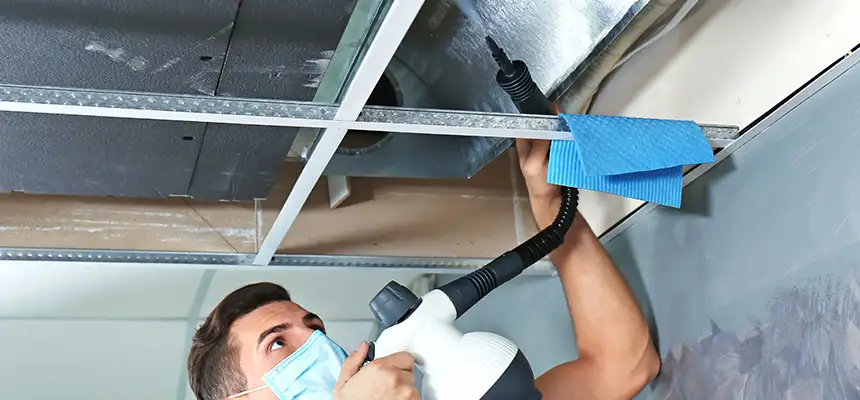 Our Air Duct Rodent Removal Services in Midvale, UT