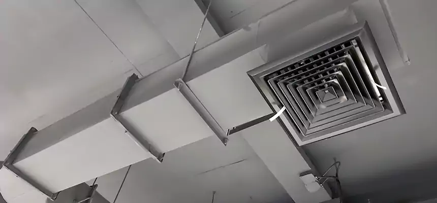 Our Pest Removal From Ducts Services in Midvale, UT