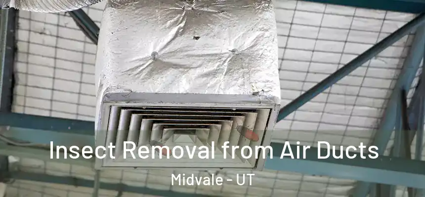  Insect Removal from Air Ducts Midvale - UT
