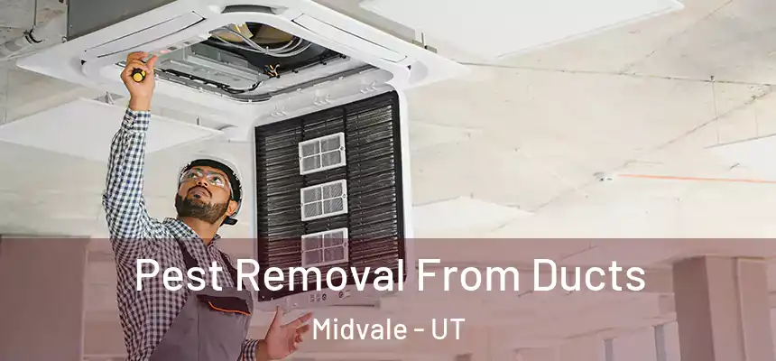 Pest Removal From Ducts Midvale - UT