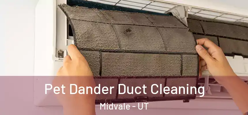 Pet Dander Duct Cleaning Midvale - UT