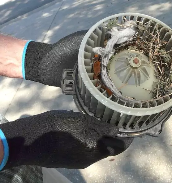 About Air Duct Rat Removal in Midvale, UT