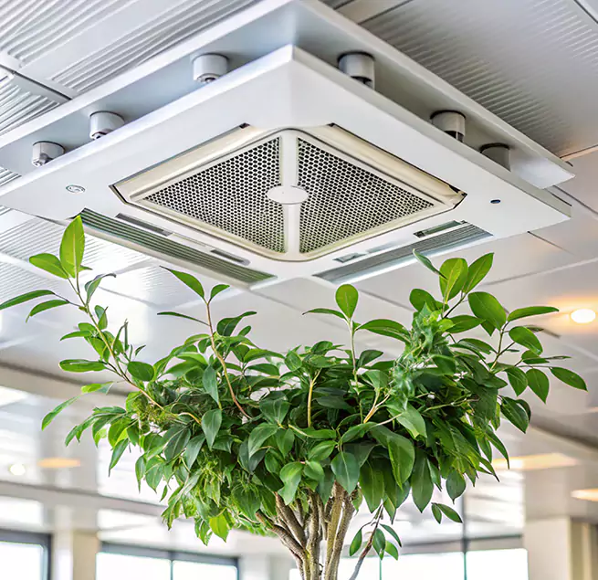 Why Homeowners & Businesses Trust Us in Midvale, UT?