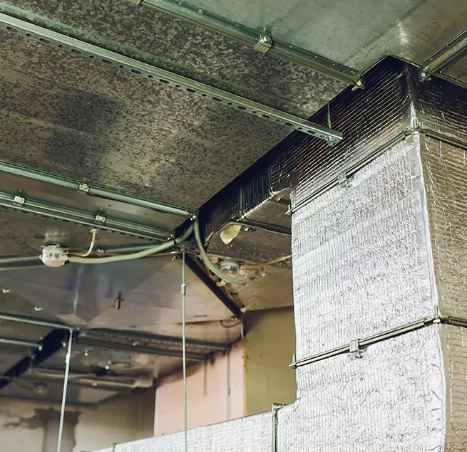 Why Homeowners & Businesses Trust Us in Midvale, UT?